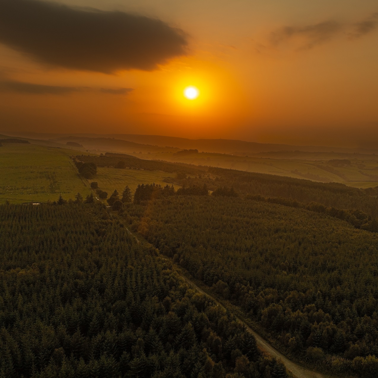 Golden Wales